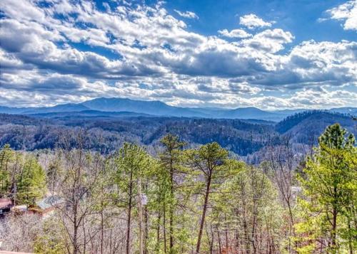 A Smokin View #1844 by Aunt Bug's Cabin Rentals - image 12