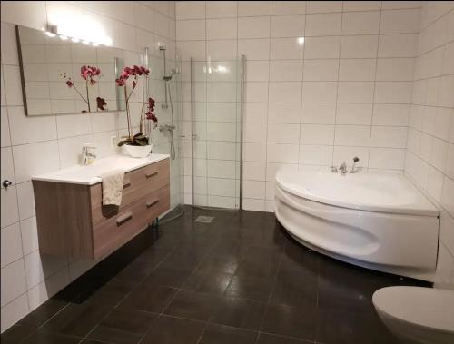 Villa with jacuzzi, Nord Bjørøy (fotografie 9)
