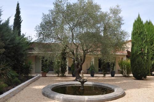 Chambres d'hôtes sous l'olivier - Chambre d'hôtes - Montpellier