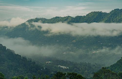 The Woods View I Serviced Villa I Open Air Lawn & Roof top I Bonfire I Nature Walk I Memorable I By Dharampur