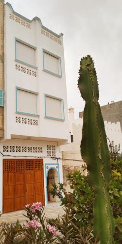 Entrada, Casa Lucía (Casa Lucia) in Sidi Ifni