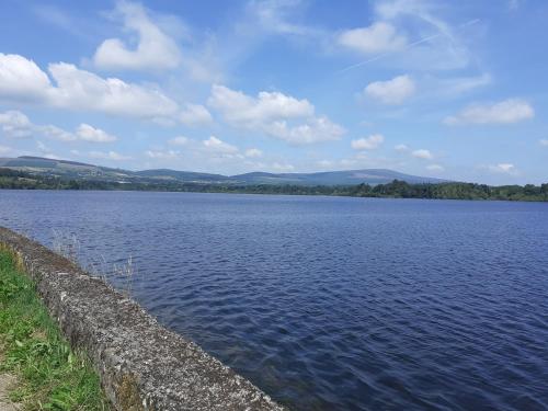 The Old Cowshed in Wicklow