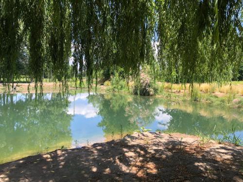 LOS GUARDIANES LODGE in Tres Esquinas