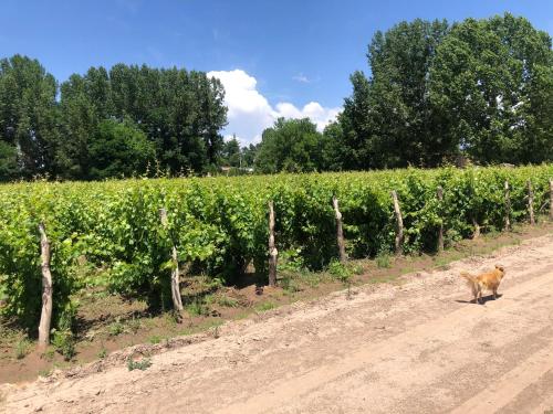 LOS GUARDIANES LODGE in Tres Esquinas