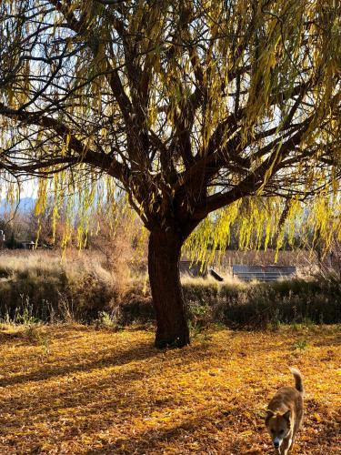 LOS GUARDIANES LODGE in Tres Esquinas