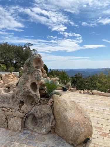 Domaine de Piscia - image 7