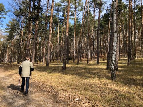 Apartment im OG zwischen See und Wald mit großem Garten 10.5km von Teupitz entfernt