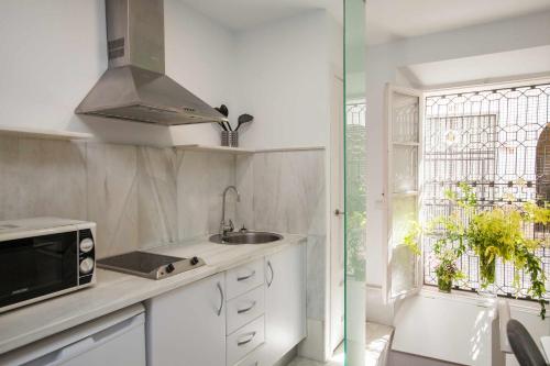 塞维利亚 ISG Apartments Mezquita 5 3星级 民宿 大堂