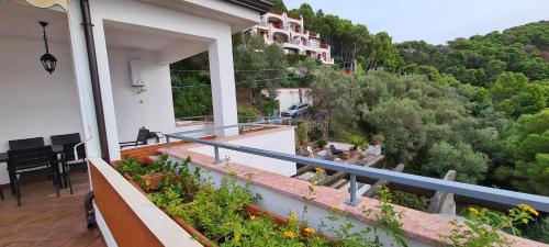 Wild Cilento, Castellabate (Foto 2)