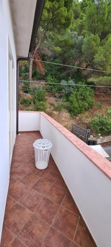 Wild Cilento, Castellabate (Foto 10)