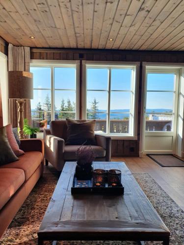 New cabin at Lifjell perfectly located for hiking with sauna and ski-in/ski-out - Bø