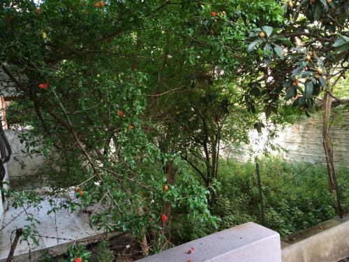 Konakli Apartments Izmir - image 8