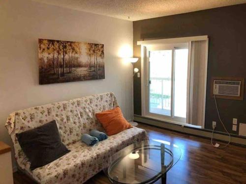 Private Cozy Home+South of Winnipeg+Close U of M