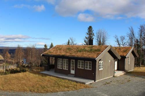 Bergestua - 4 bedroom cabin - Chalet - Golsfjellet