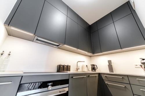 One-Bedroom Apartment image 10