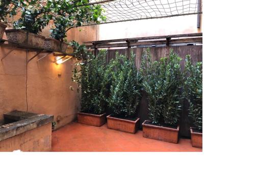 Junior Suite with Patio image 3