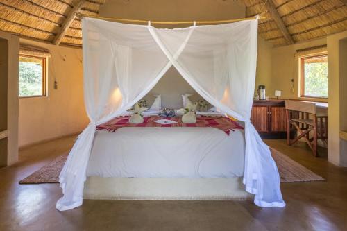 Umlani Bushcamp - Lodge 2