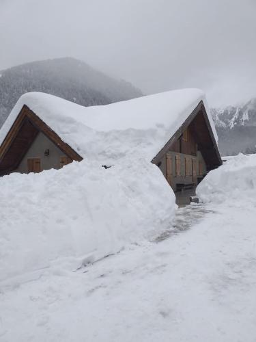 Nido di montagna gîte à louer Strembo