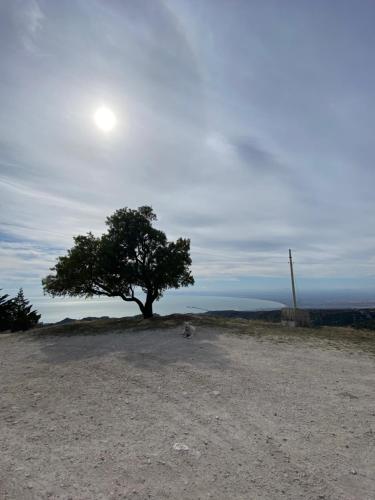 Al Dolmen