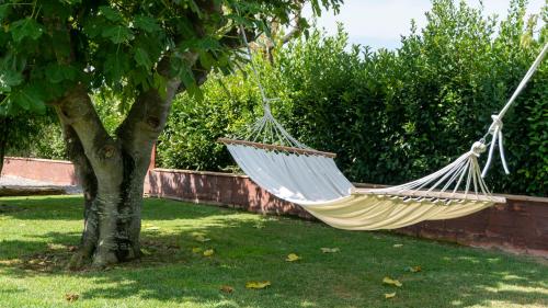 Can Dispès Hotel Rural - image 13