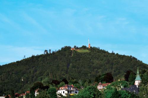 Stadthaus Sinfonia - image 6