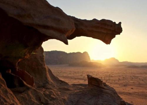 wadi rum gtr