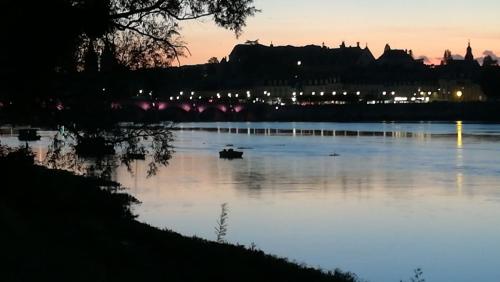 Appartement spacieux vue sur Loire proche du centre