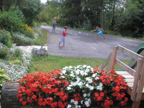Appartements Fritz Sagmeister Appartements Fritz Sagmeister