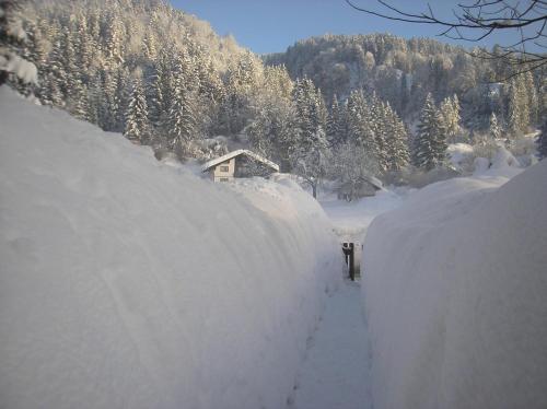 Appartements Fritz Sagmeister Appartements Fritz Sagmeister
