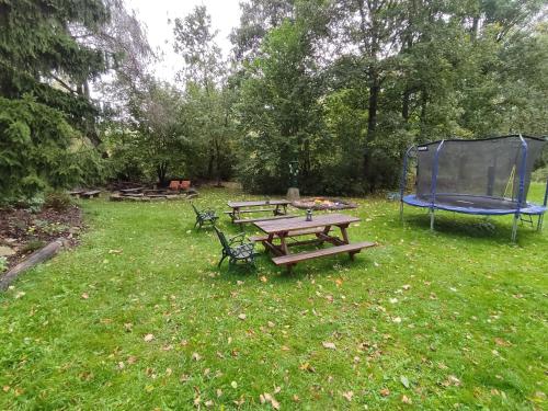 Apartment Ve Mlýně - image 14