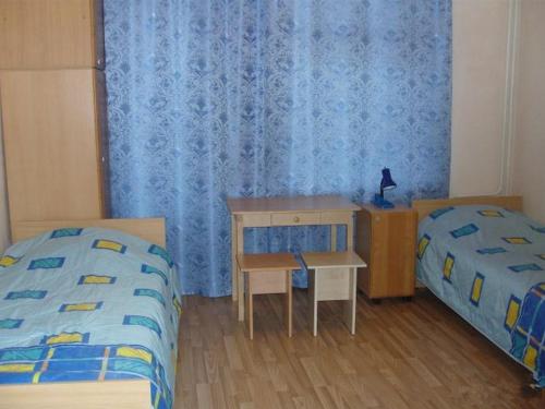 Staraya Russa Hostel - image 4