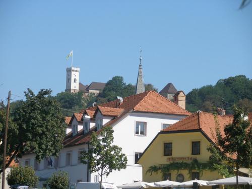 House Trta, Ljubljana (photo 6)