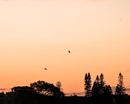 Terrigal Pacific Coastal Retreat