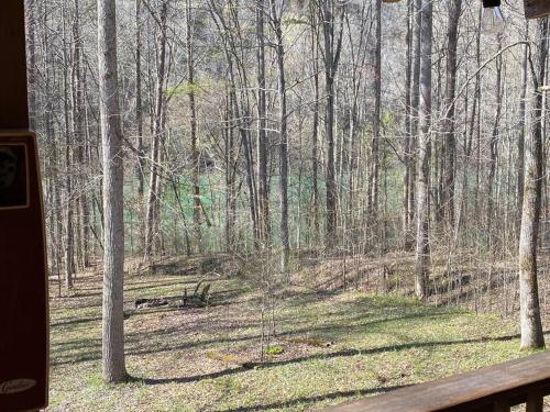 周邊環境, No Wake Zone in 利文斯頓 (TN)