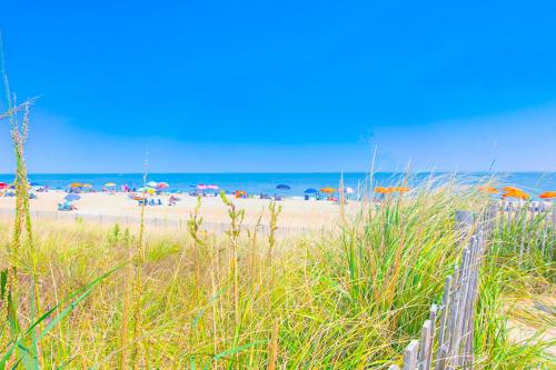 Ocean Village -- 39664 Skimmer in סיפורד(די אי)