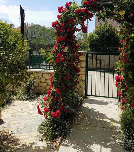 Apartments with a parking space Sveti Filip i Jakov Biograd - 16759 - image 3