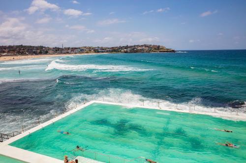 Holiday Inn & Suites Sydney Bondi Junction an IHG Hotel - image 11