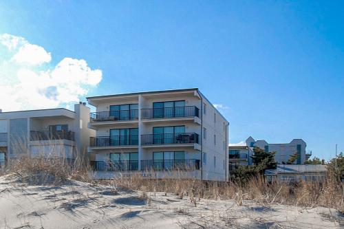 Sand Dollar I 301