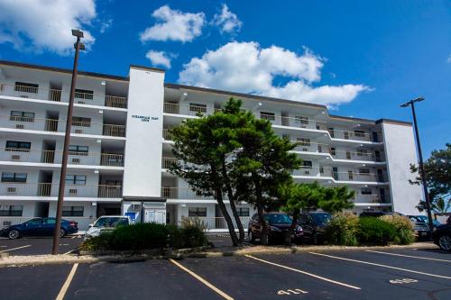 Oceanwalk 501
