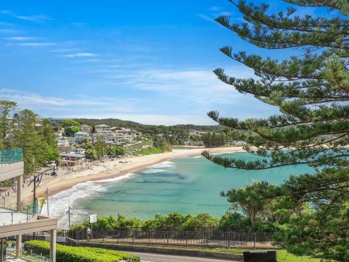 Cumbernauld #12 - 12/12 Terrigal Esp, Terrigal