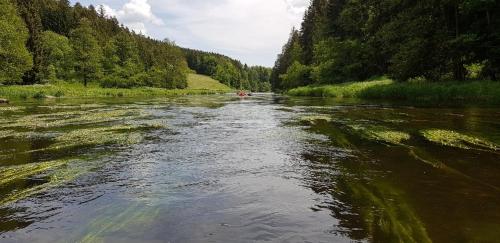 Ferienwohnung Wildgatter