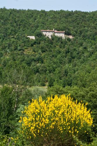 Eremito - image 14