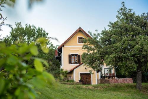 Viesnīcas āriene, Panorámás Vincellérház - Balatonszepezd (Panoramas Vincellerhaz - Balatonszepezd) in Balatonszepezd