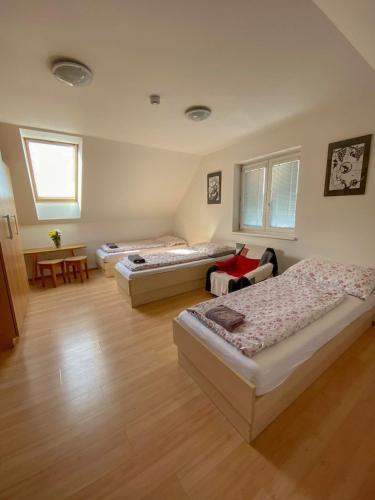 Chalupa - Sklep Starovice in Starovice U Hustopece