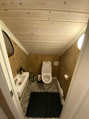 Bathroom, Endely - ski inn / ut in Rauland
