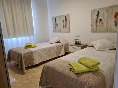 Casa Olivina