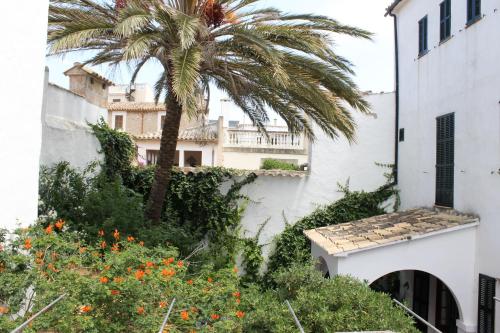 Hotel Sant Jaume - image 14