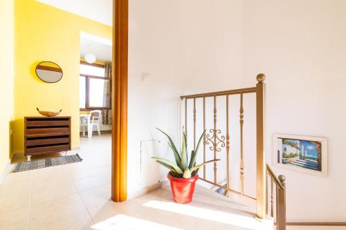 F & B Summer Collection - Kassandra - Fourka