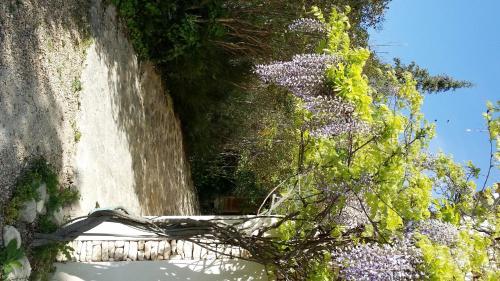 Charm in Provence - image 11