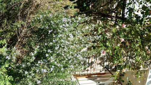 Charm in Provence - image 12